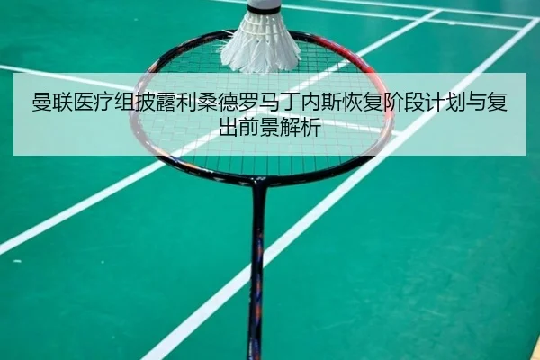 曼联医疗组披露利桑德罗马丁内斯恢复阶段计划与复出前景解析
