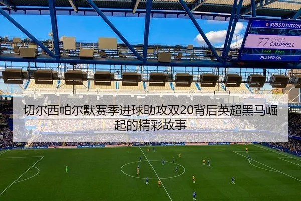 切尔西帕尔默赛季进球助攻双20背后英超黑马崛起的精彩故事