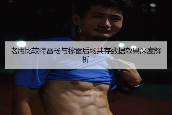 老鹰比较特雷杨与穆雷后场共存数据效果深度解析