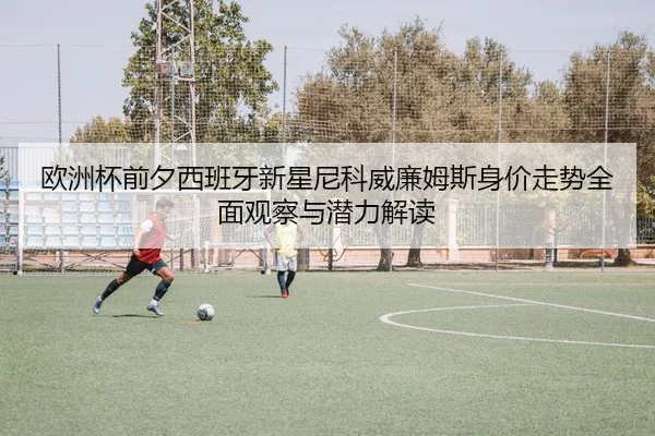 欧洲杯前夕西班牙新星尼科威廉姆斯身价走势全面观察与潜力解读