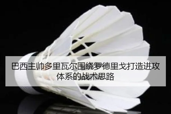 巴西主帅多里瓦尔围绕罗德里戈打造进攻体系的战术思路